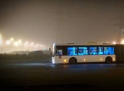 Петербуржцы смогут воспользоваться ночными автобусами в последний раз в 2018 году 11 ноября