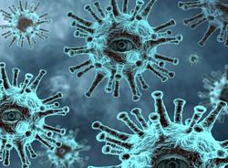 Петербуржцам пообещали третью волну коронавируса