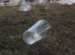 Ленобласть первой в России отказалась от одноразового пластика на концертах и фестивалях