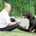 Петербуржец попросил Агапитову посодействовать в установке памятника собаке Путина