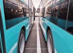 Названы отличительные качества лазурных автобусов Петербурга