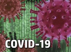Названа дата пика пандемии коронавируса в Петербурге