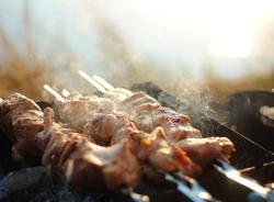 Петербуржцам назвали 42 шашлычных места, где будет разрешено жарить мясо