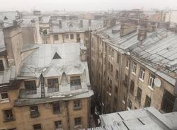 В Петербурге 22 ноября вновь будет мокрый снег и туман