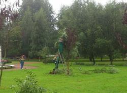 Сад Ткачей на улице Бабушкина «озеленили» с помощью скотча
