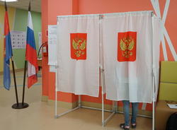 ЦИК раскритиковал выбор кандидатов избиркома в Петербурге.