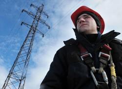 Штормовой ветер оборвал провода в шести районах Петербурга