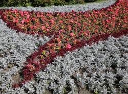 В Петербурге планируют высадить шесть миллионов цветов в 2023 году