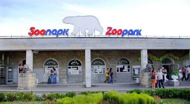 В Ленинградском зоопарке появились на свет птенцы эму и детеныши анаконды