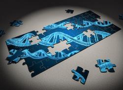 В человеческой ДНК обнаружена необычная часть