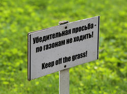 В Смольном объяснили, почему в Петербурге стали реже стричь газоны