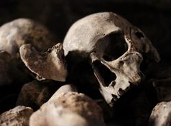 Прохожий заметил в Троицком ручье человеческие череп и кости