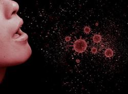 В Смольном заявили о снижении заболеваемости и летальности от коронавируса