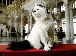 В Эрмитаже пройдет опера о котах-хранителях музея