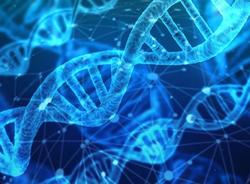 Российские генетики научились определять внешность будущих детей по ДНК