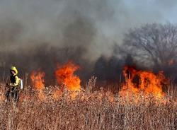 В России могут в разы увеличить штраф за поджигание сухой травы