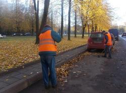 За неделю с улиц Петербурга вывезли 464 тонны мусора