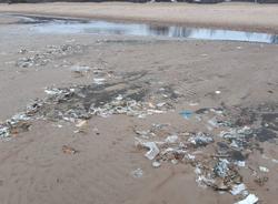 Дубковский пляж в Сестрорецке очистят от пакетов и прокладок, принесенных штормами
