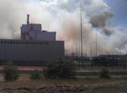 В Чернобыле вторые сутки горят 5 гектаров «рыжего леса»