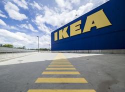 IKEA планирует вернуться в Россию 