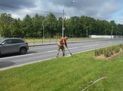 Петербургских коммунальщиков оштрафуют за плохую уборку дворов