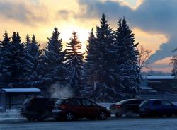 В Петербурге после краткого потепления ожидается самая морозная ночь за всю зиму