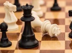 В петербургском парке Сосновка к ноябрю 2022 года отремонтируют шахматно-шашечный павильон